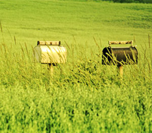 mailboxes in grass
